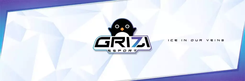 Grizi Esports gaming organization