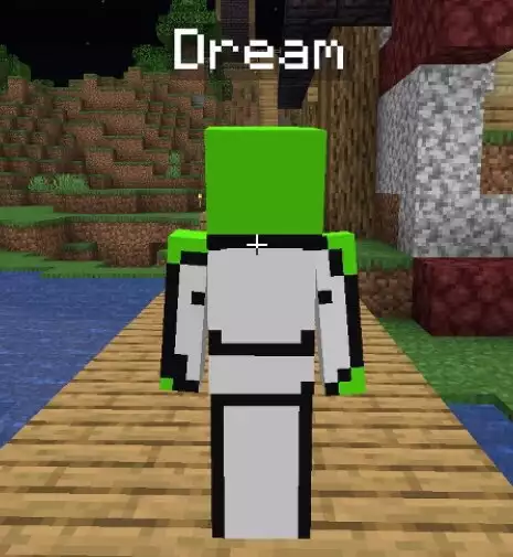 TinaKitten supported Dream amid the surge of allegations that Dream rigged the Minecraft mob vote poll