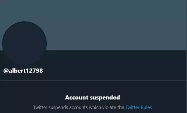 The Meme Account Albert Banned From Twitter Will The Ceo Of Ratio Return Ginx Esports Tv